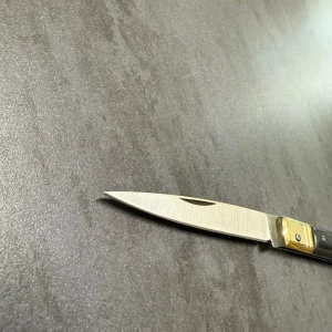 COLTELLO STILETTO 21cm - FROSOLONE
