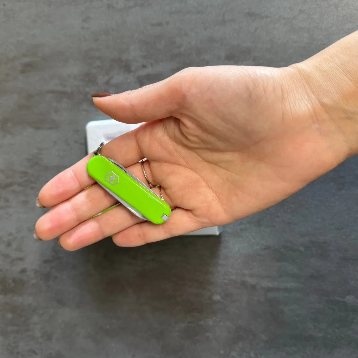 victorinox__classic__smas_2.webp VICTORINOX - CLASSIC - SMASHED AVOCADO